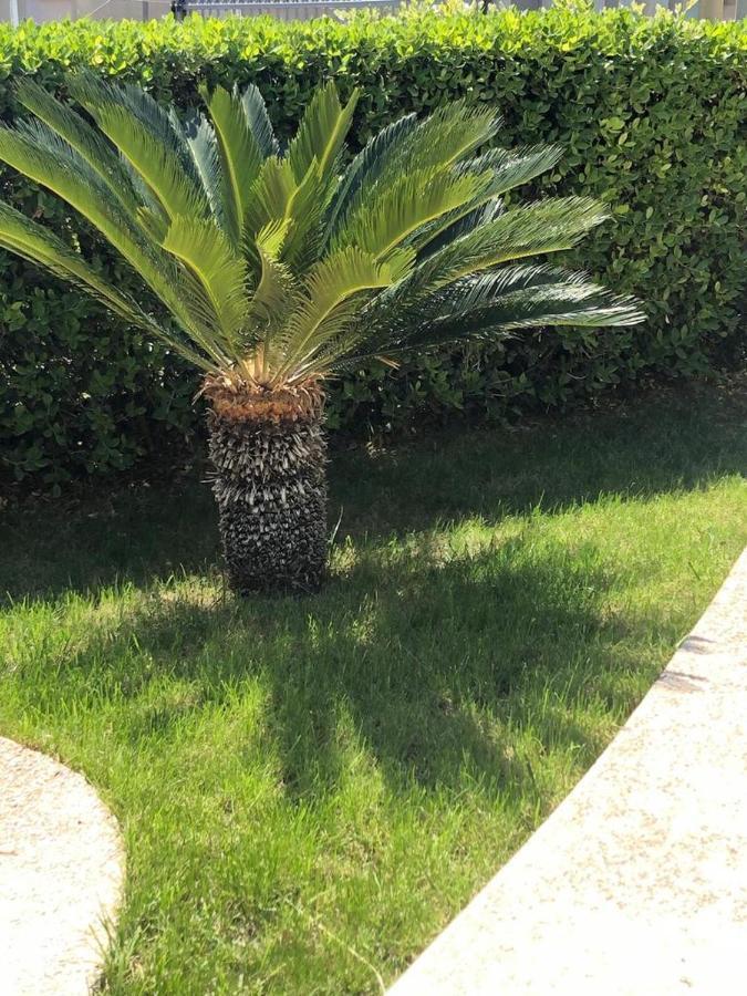 Appartamento L'Ulivo Brancaleone Marina Luaran gambar